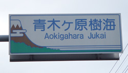 富士五湖⑦.JPG